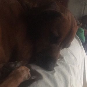 Meet your Posher, Brenda